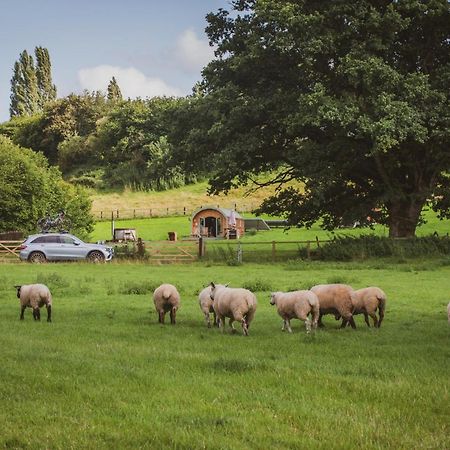 Hidden Wood Glamping And The Hideaway Cabin وارمينستر المظهر الخارجي الصورة