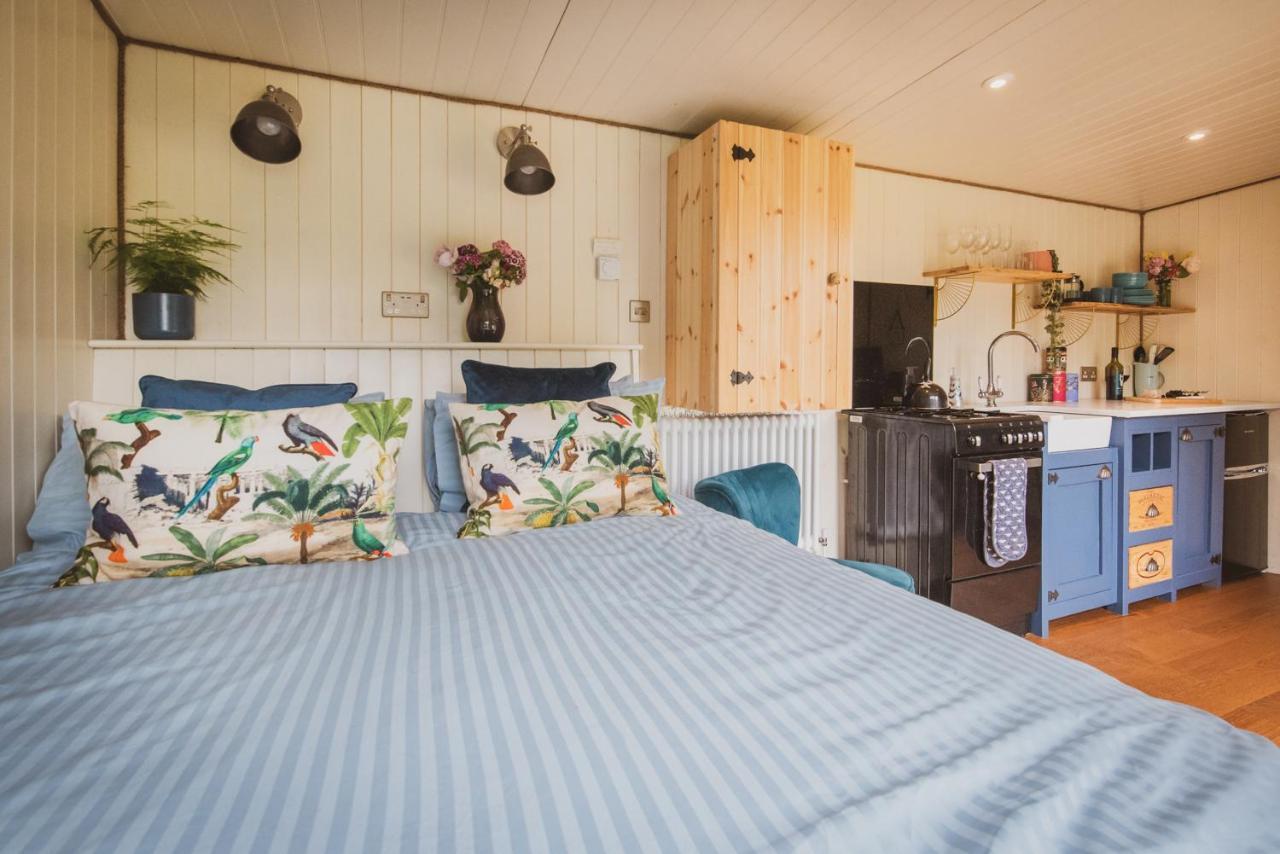 Hidden Wood Glamping And The Hideaway Cabin وارمينستر المظهر الخارجي الصورة