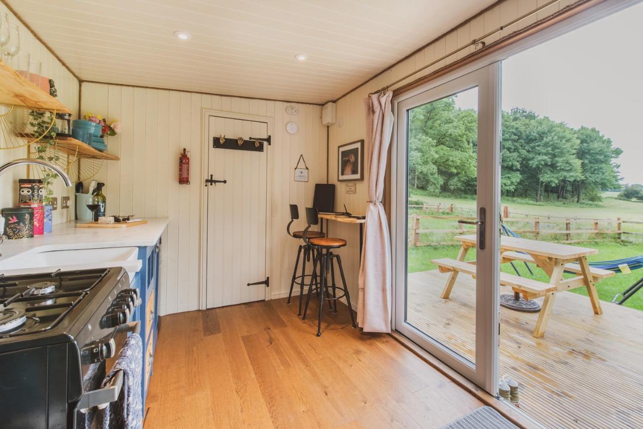 Hidden Wood Glamping And The Hideaway Cabin وارمينستر المظهر الخارجي الصورة