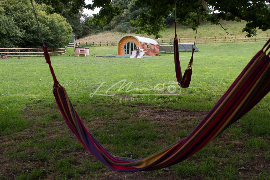 Hidden Wood Glamping And The Hideaway Cabin وارمينستر المظهر الخارجي الصورة